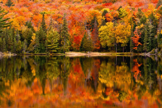 21 Best Places to See Fall Foliage in the United States