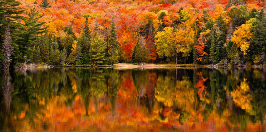 21 Best Places to See Fall Foliage in the United States